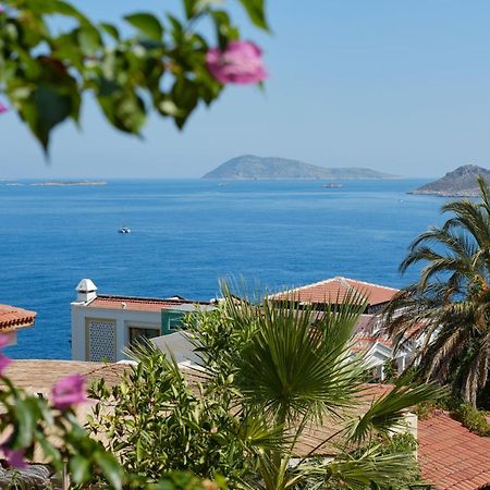 Ferienwohnung Kaktus Ada Kaş Exterior foto