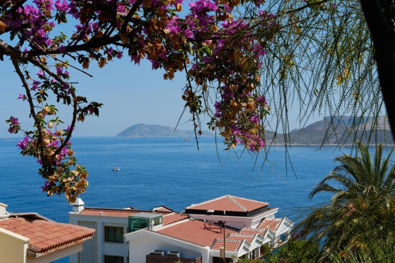 Ferienwohnung Kaktus Ada Kaş Exterior foto